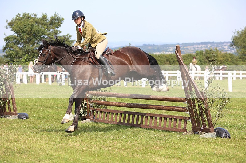 JPP_3550 - Class 23: Working Hunter 80cm