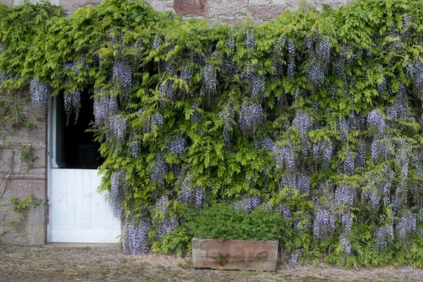 - Dabton Gardens