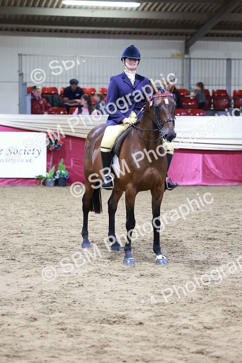 SBM_20565 - Class H - IH Competition - Riding Club champ