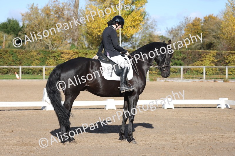 20251102-0780 - Class 4 - Novice 6