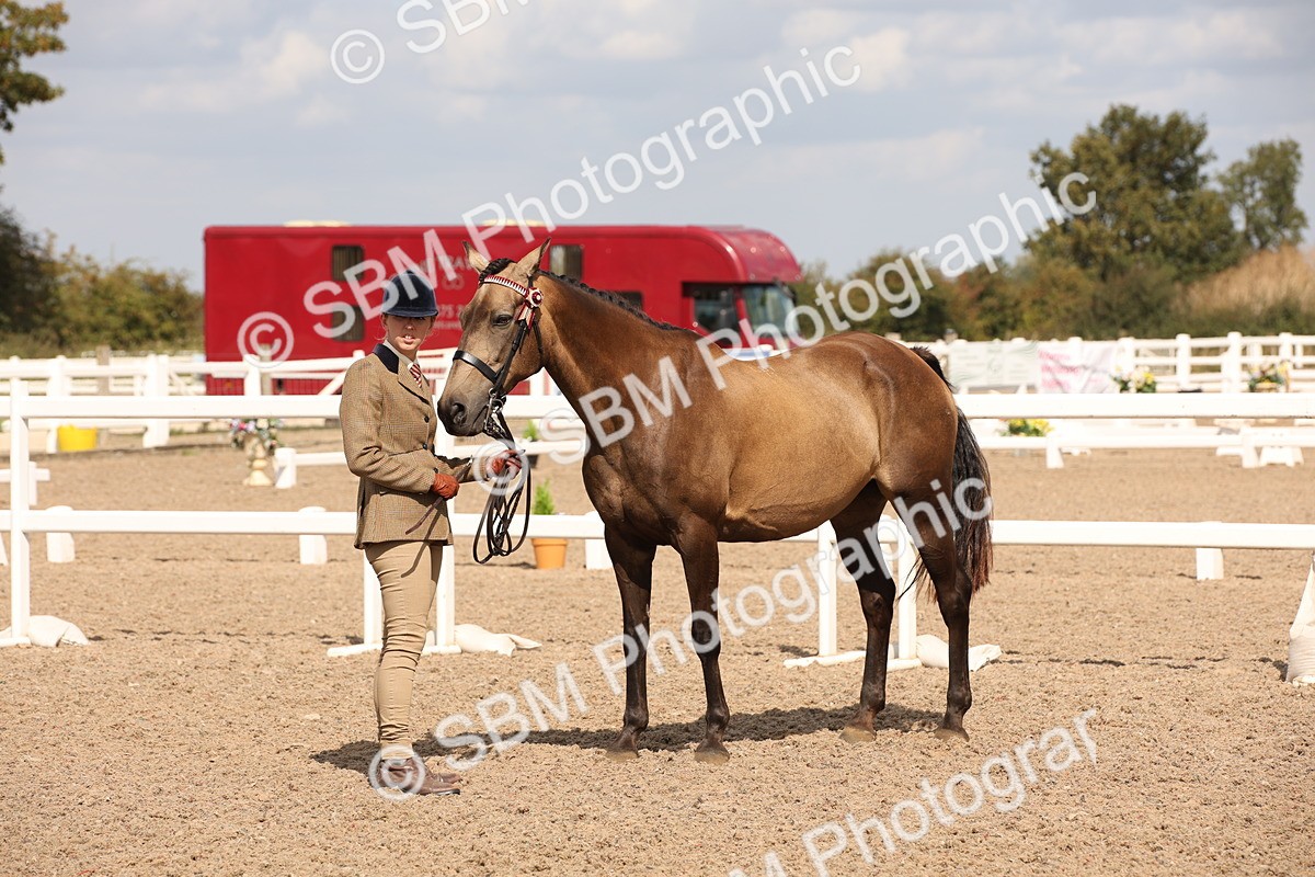 SBM_03750 - Class 19 Judge's Favourite