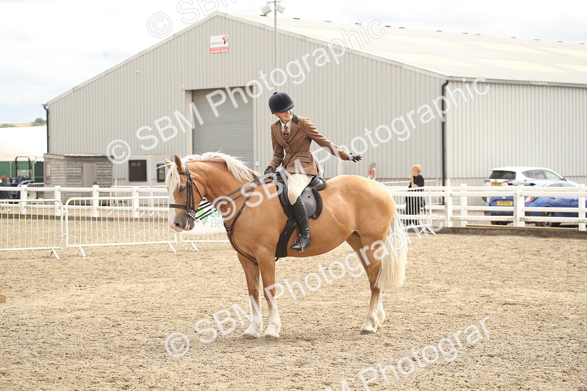 SBM_17678 - Class 508a - Working Veteran 70cm (15-19)