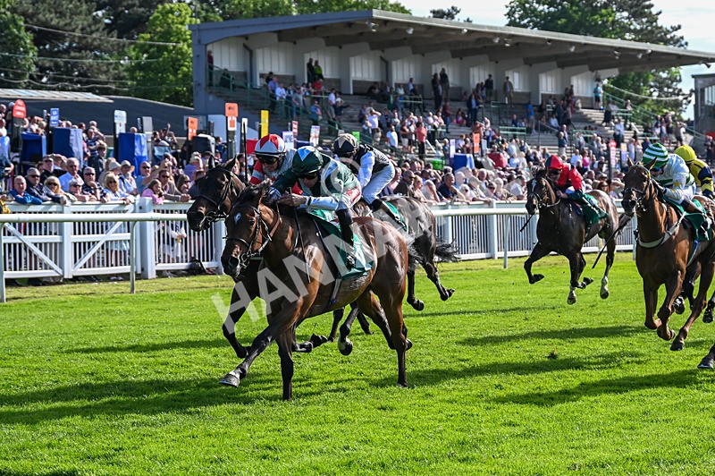 310526-Race 5-Fandom-9087 - Race 5 17.45pm Sky Bet Price Boosts Handicap