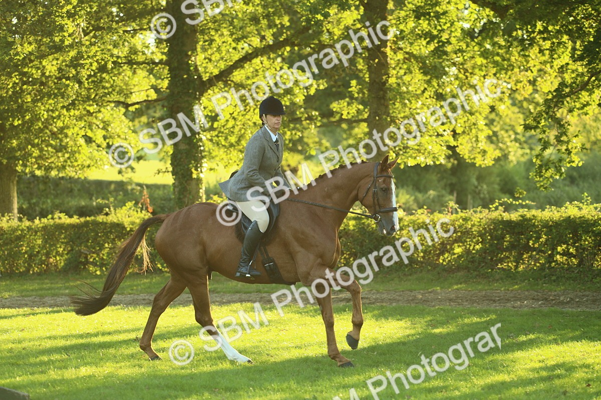 SBM_56396 - S14 - Riding Club Horse