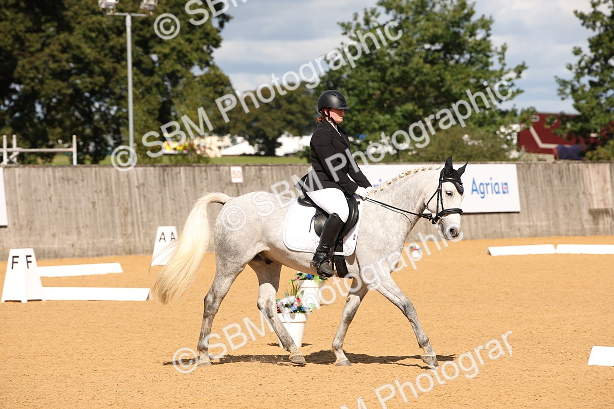 SBM_04343 - D2 Small Tour Championship Intro C