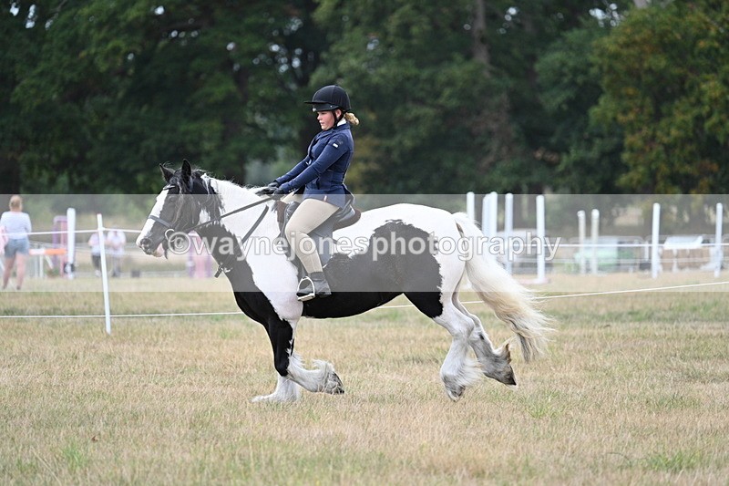 WJ7_5120 - Class 12 Ridden Cob