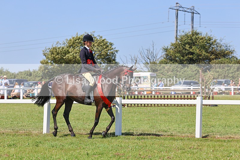 IMG_2158 - Plaited Ridden Championship