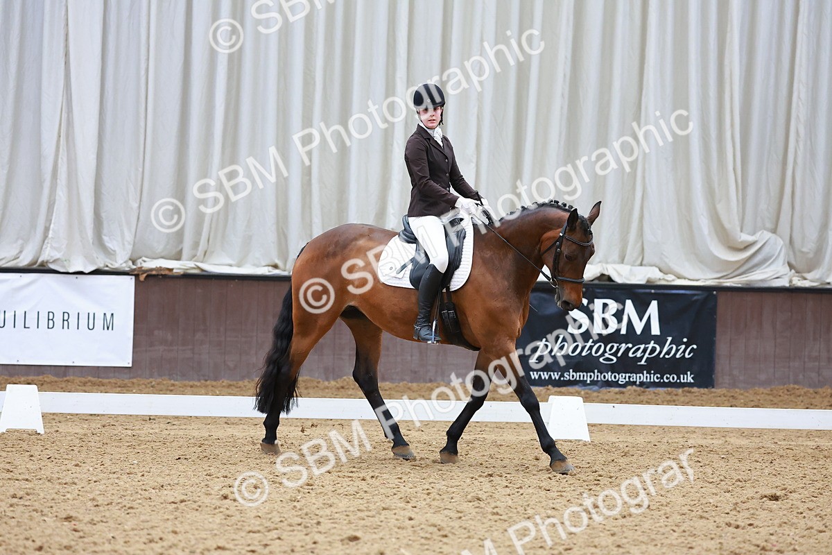 SBM_007581 - Class 4-5-6 - Prel 3-Novice 2-Ele 2