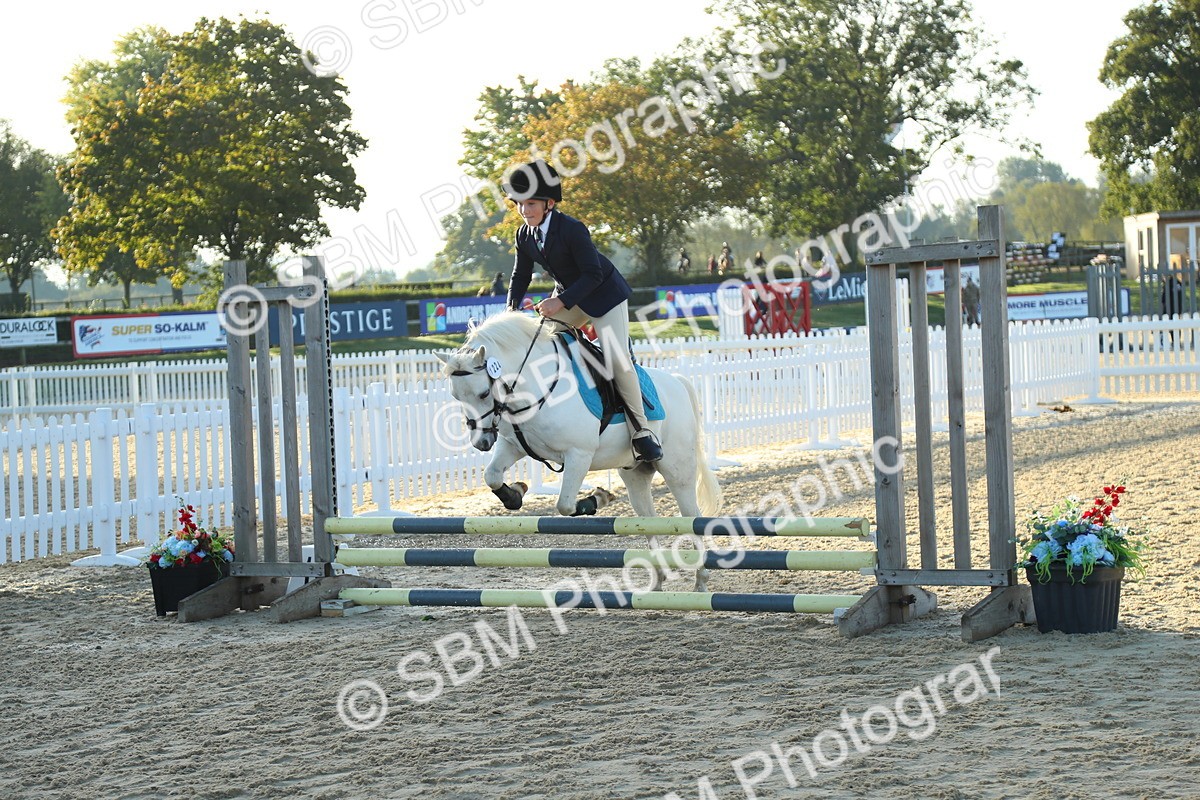 SBM_34857 - J5 - Junior Pony 50cm Championship