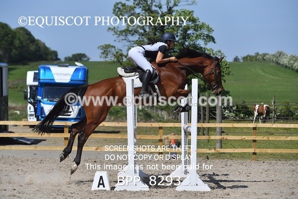 BPP_8293 - CLASS 6 Senior Newcomers/ 1.10m Open