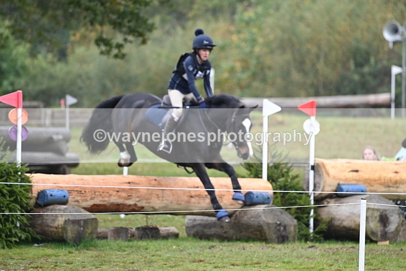 WJ6_2498 - 80cm Cam 1 Time 11:23 to 12:04