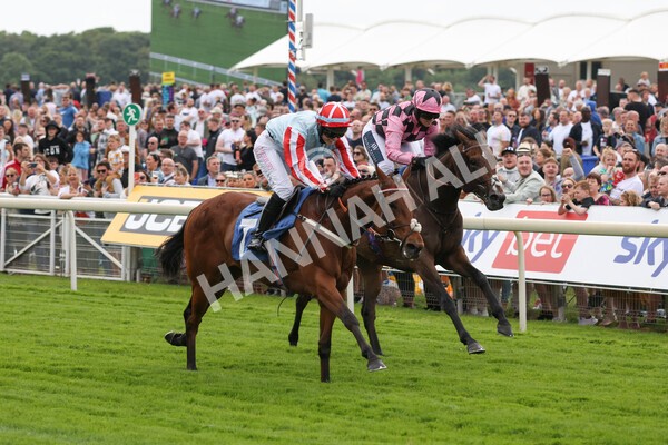 yr11062022r2-80 - Race 2 2.00pm Queen Mother's Cup