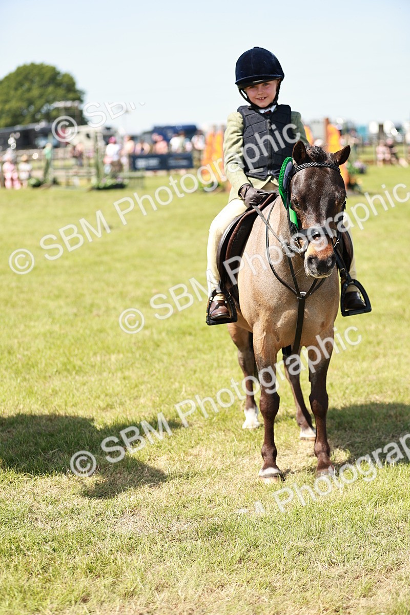 SBM_13658 - Class 108-109 - BSPS LIHS Open Gradle & Nursery Stakes