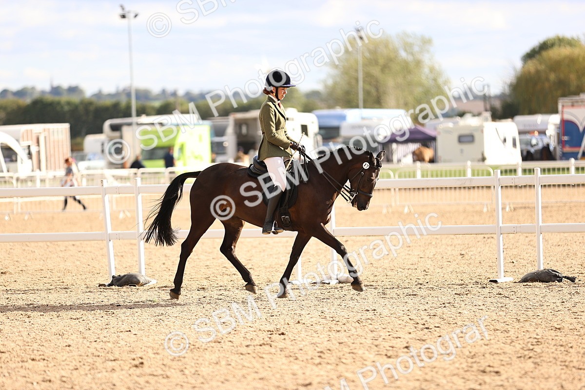 SBM_18246 - Class 423 - Equitation (best rider) Adult