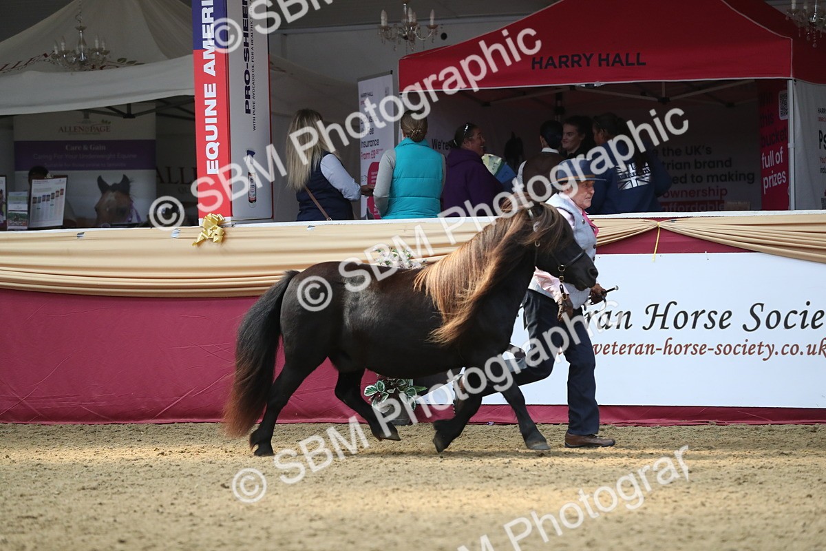 SBM_15299 - Class 501 M&M IH Supreme Final