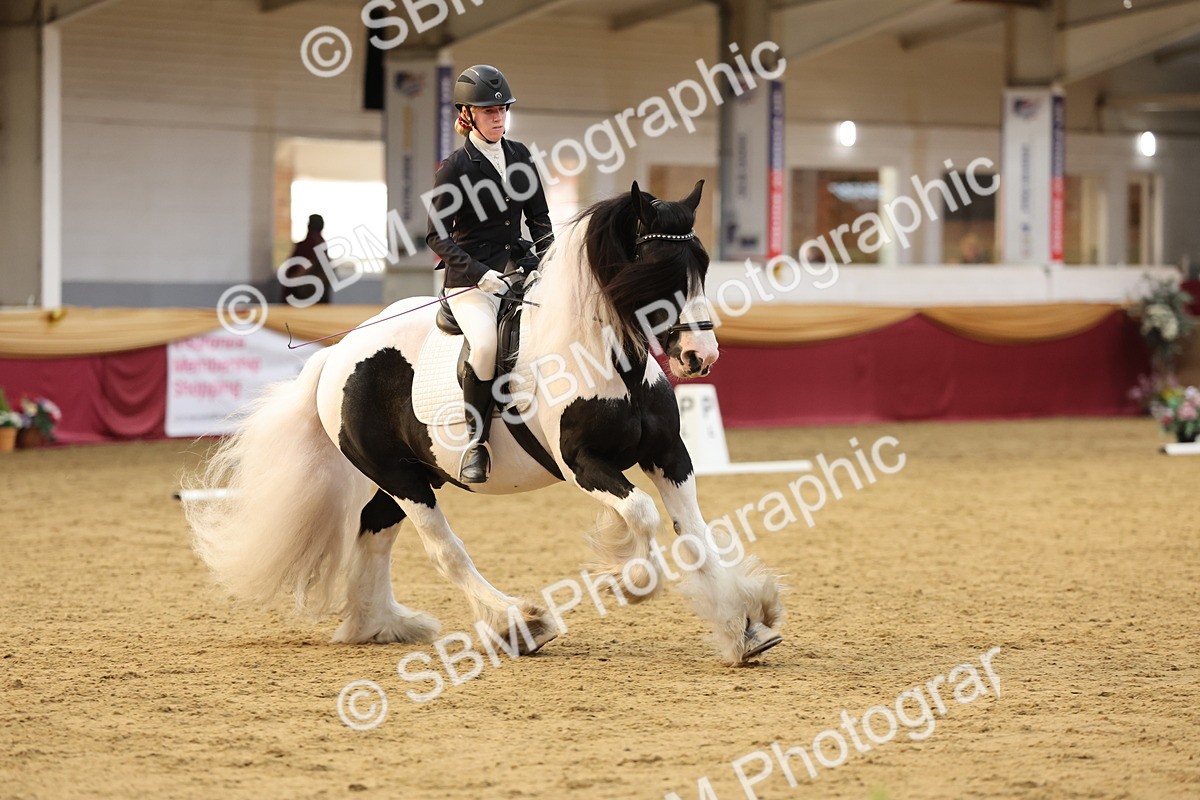 SBM_09337 - Class 51 - Dressage to music