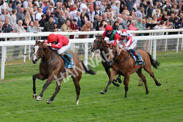 yr22072022r6-11 - Race 6 7.50pm Gallop Racing Stakes