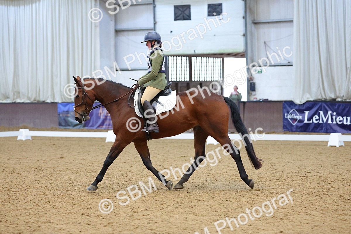 SBM_004260 - Intermediate