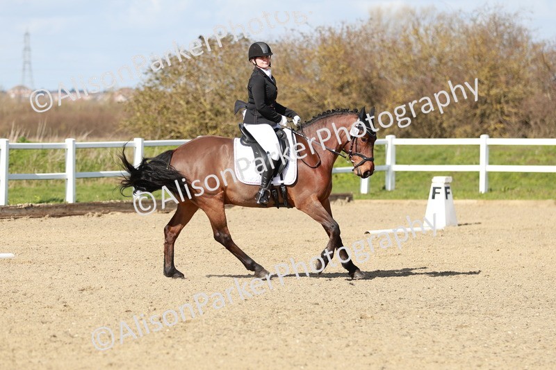 20260314-3091 - DR3 - Prelim 1