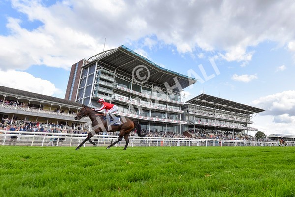 230824-Race 4-Bradsell-4324 - Race 4 3.35pm Coolmore Wootton Bassett Nunthorpe Stakes