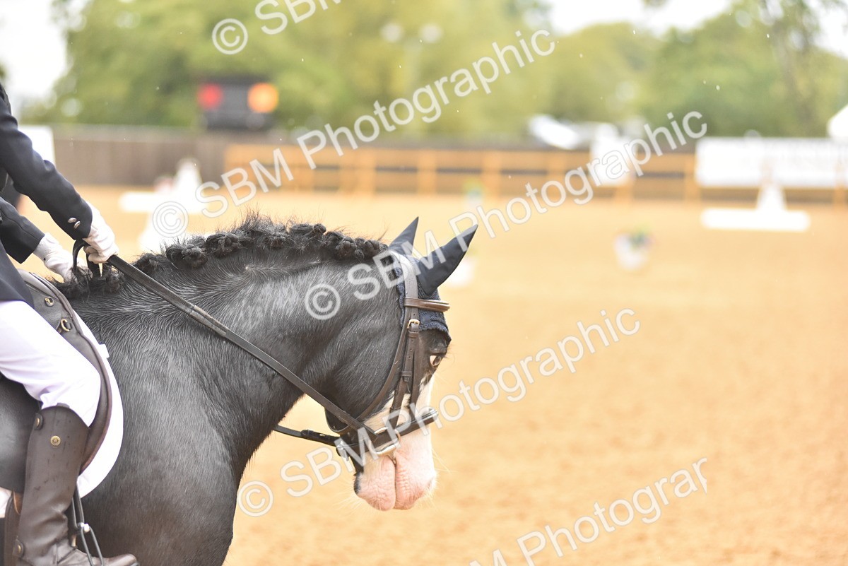 SBM_34767 - D26 & 27 Starter Test 1