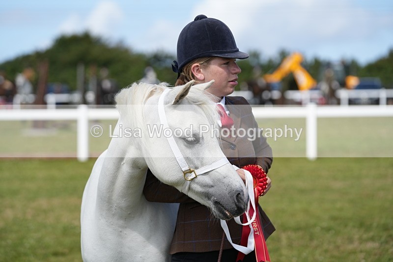DSC05624 - Class 50: NPS M&M 4 years and over Small Breeds
