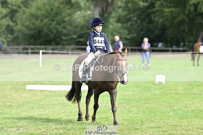 250821A-101824-14251 - DR 10.00 to 11.00