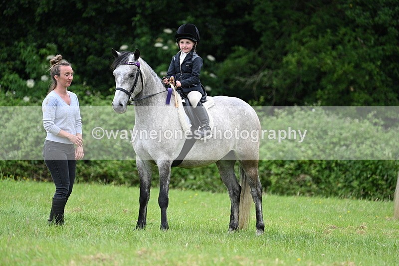 WJ7_4258 - Class 14A Handsome Gelding