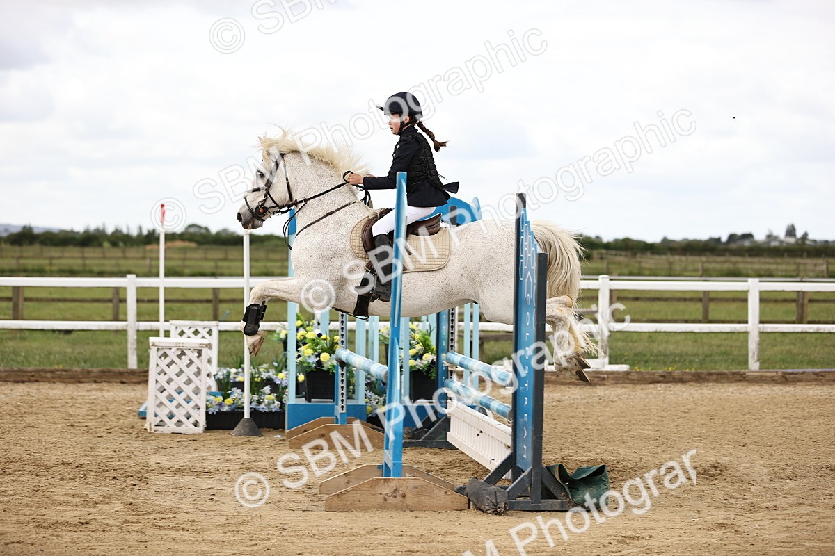 SBM_007166 - Class 2 - 80cm showjumping