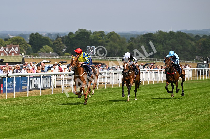 140726-Race 3-Pendella-0349 - Race 3 15.17pm Malcolm Greenslade Doncaster LVA Stalwart Memorial Handicap