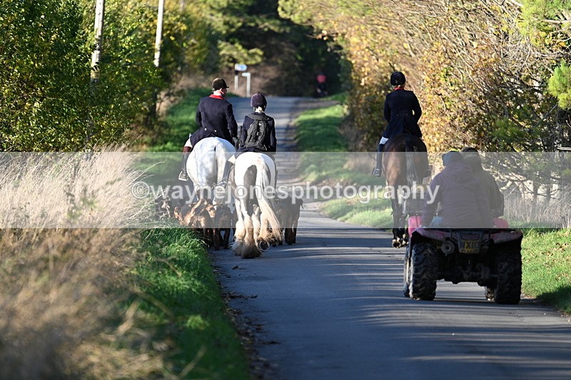 WJ7_8667 - Walk Home