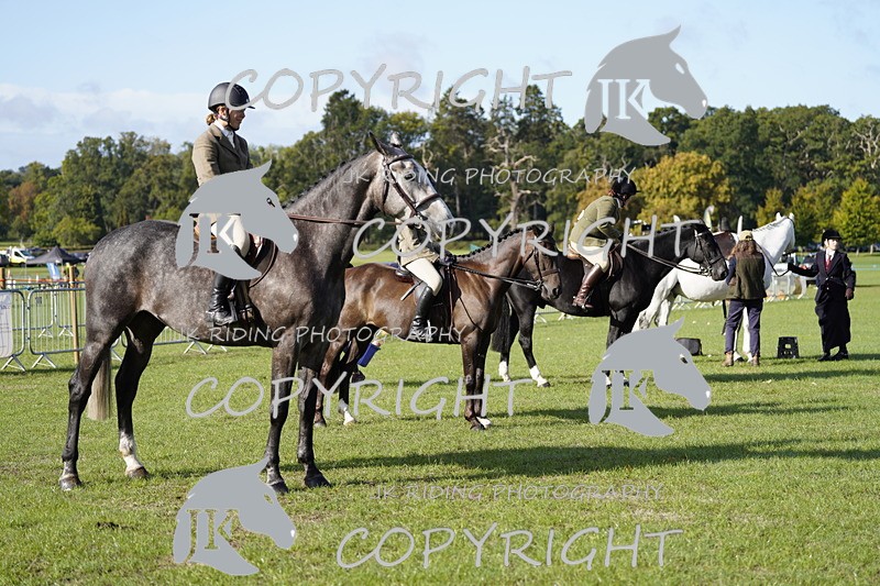 _DSC9551 - Class 8 & 17 Ridden Hunter & Ridden Hunter Pony