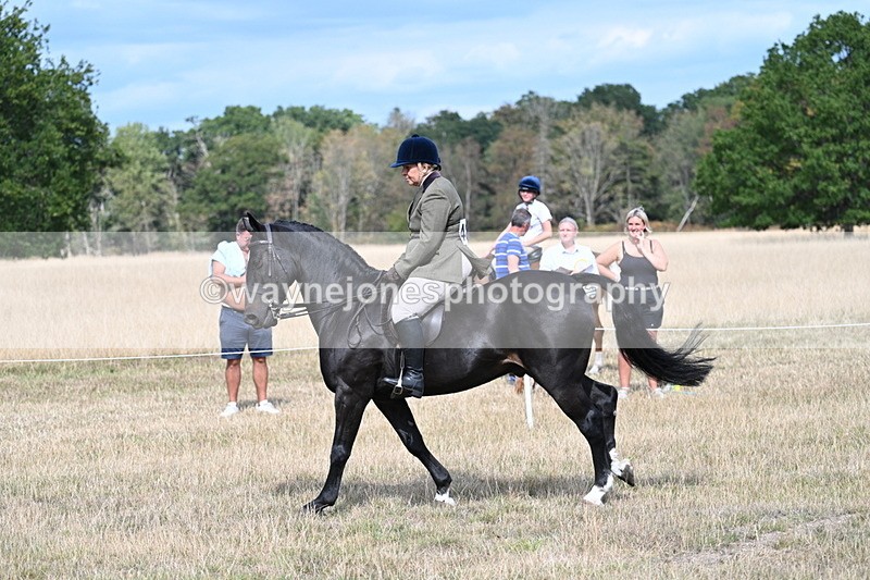 WJ7_6158 - Class 13 Ridden Veterans