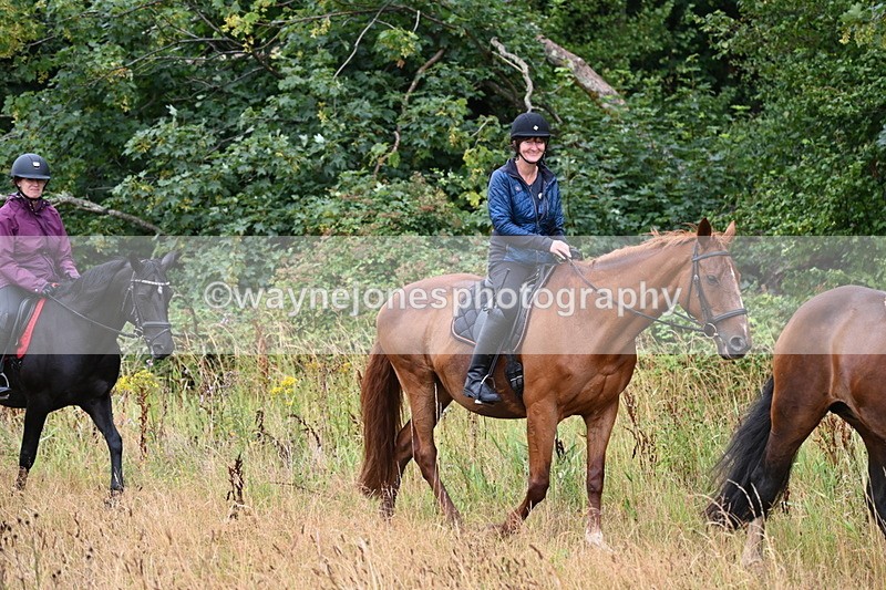 WJ6_2038 - Group 4