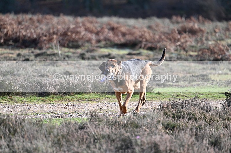 WJ7_8000 - Line 3 (no line 4 or 5)