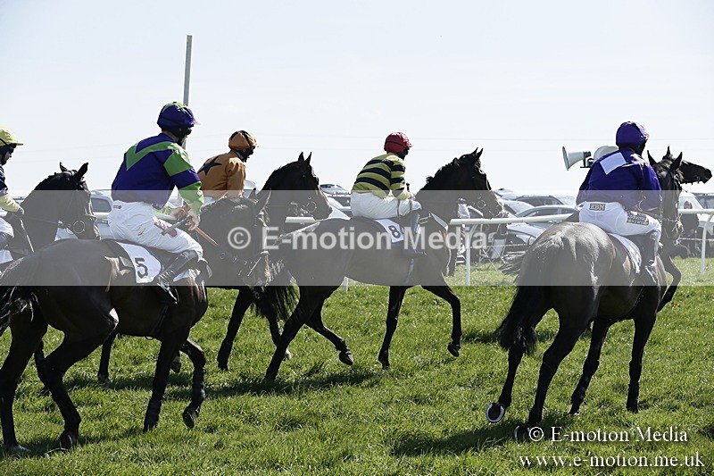 PtP 260317 42 - Mendip Farmers Point-to-Point Ston Easton 26/03/17