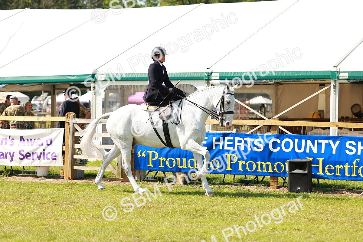 SBM_13152 - Class 70-71 - Side Saddle