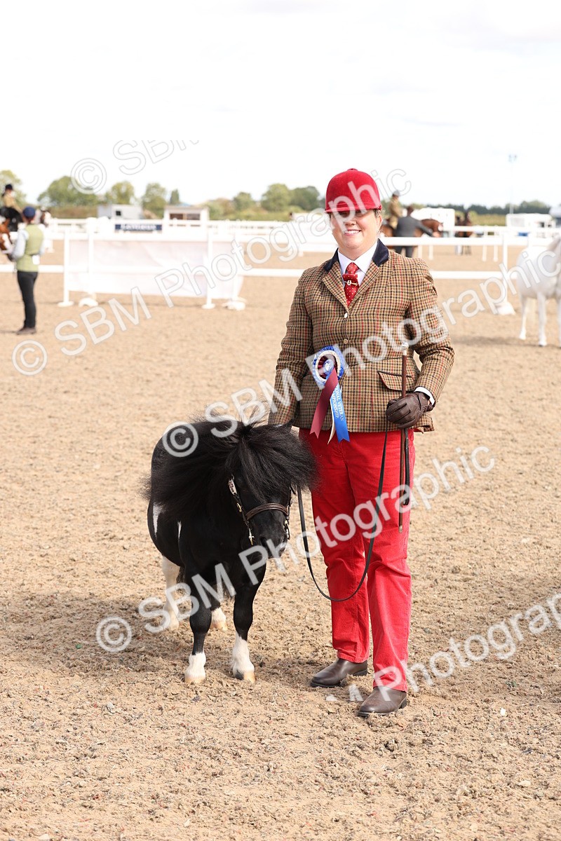 SBM_13993 - Class 205 - IH Show Pony - Show Hunter Pony