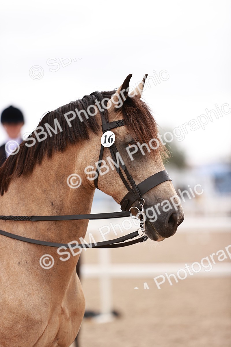 SBM_19067 - Class 422 - Ridden M&M