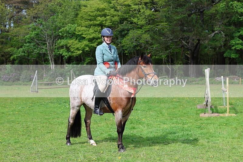 3E7A2744 - Working Hunter Championship