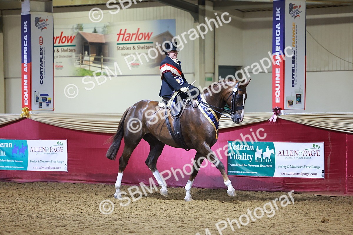 SBM_15045 - Class N - Side Saddle Champ