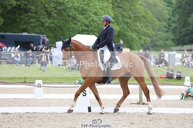 240524-131458-08764 - 356-CREEVAGHSTABLES_IFICUDIWUD-Tim_Cheffings