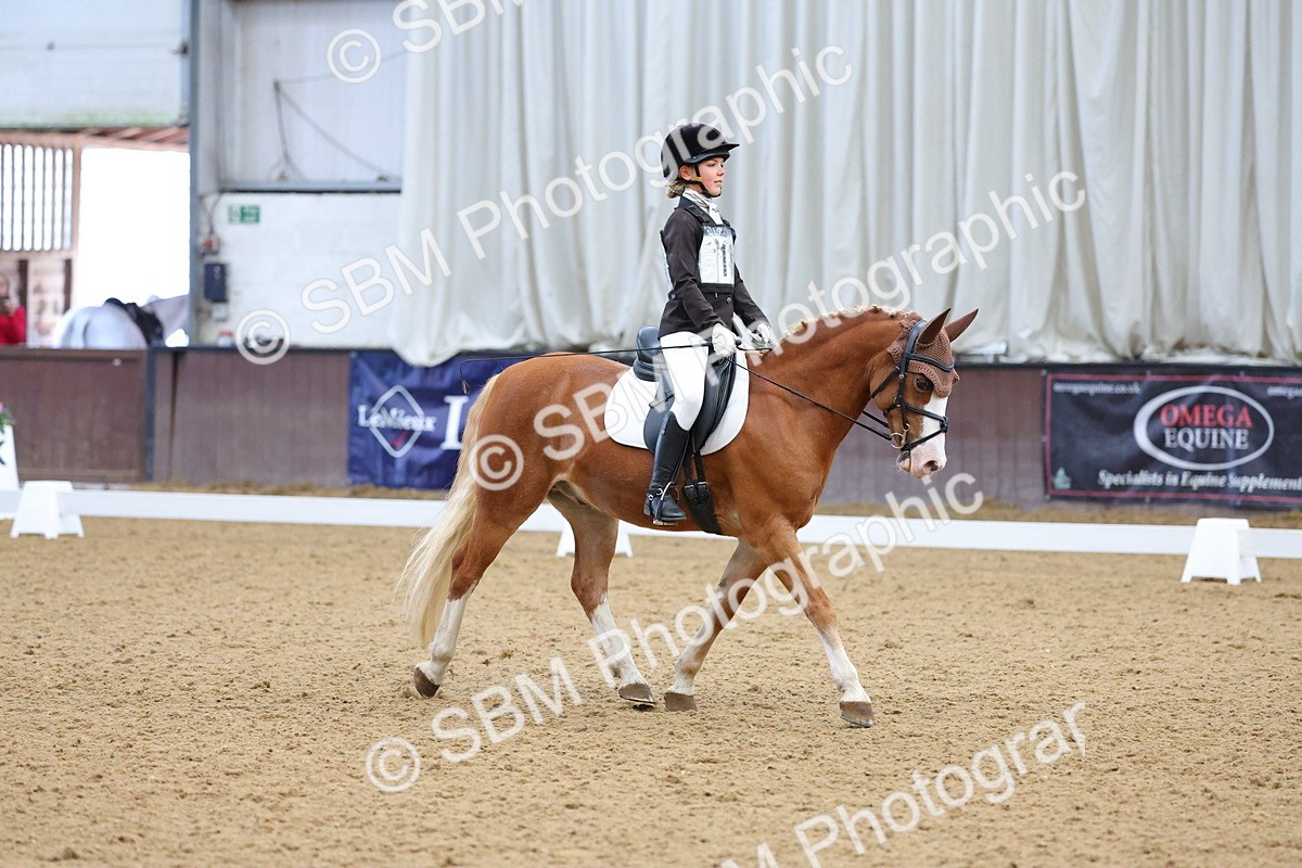 SBM_002948 - Novice