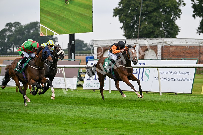 070924-Race 2-Cymbidium-7150 - Race 2