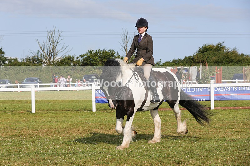 1X9A3154 - Class 27:  Ridden Native/Trad Coloured Horse