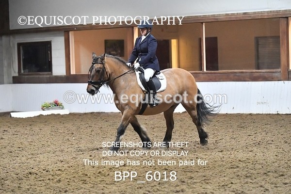 BPP_6018 - ELEM TEST 4