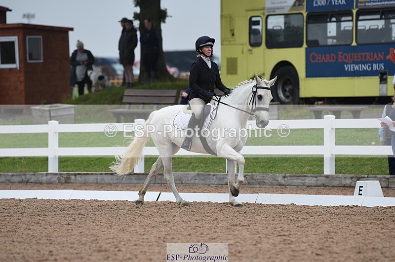 230708A-122422-01720 - Prelim 7