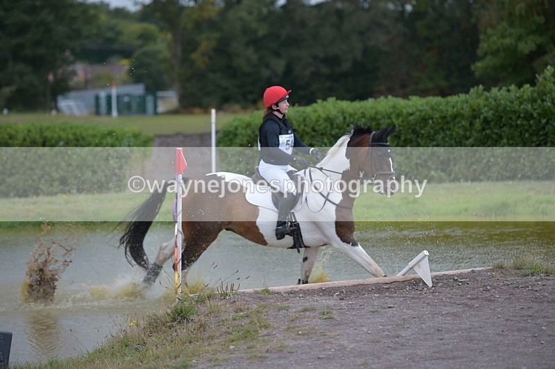 NGP_2130 - XC Time 11:20 to 11:36