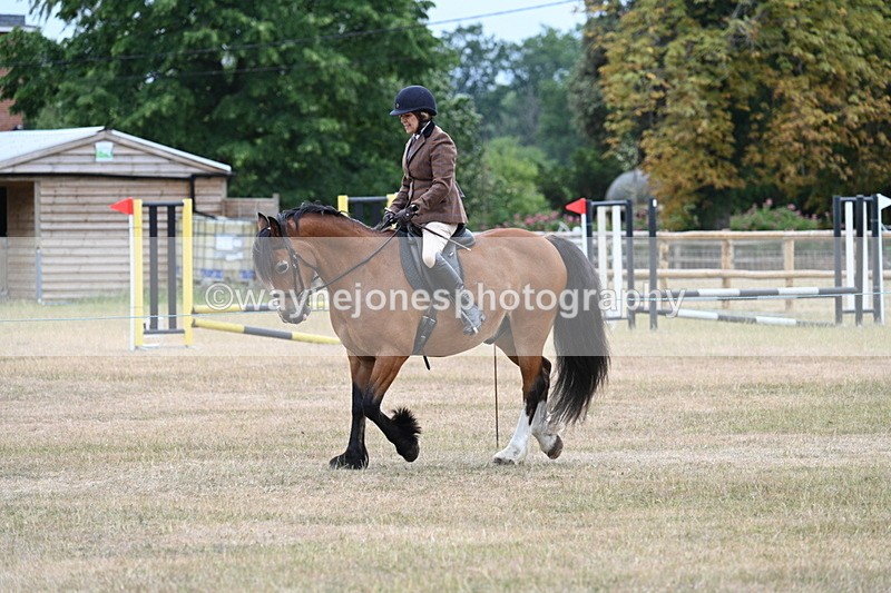 WJ7_0318 - Class 6 Ridden Mountain and Moorland