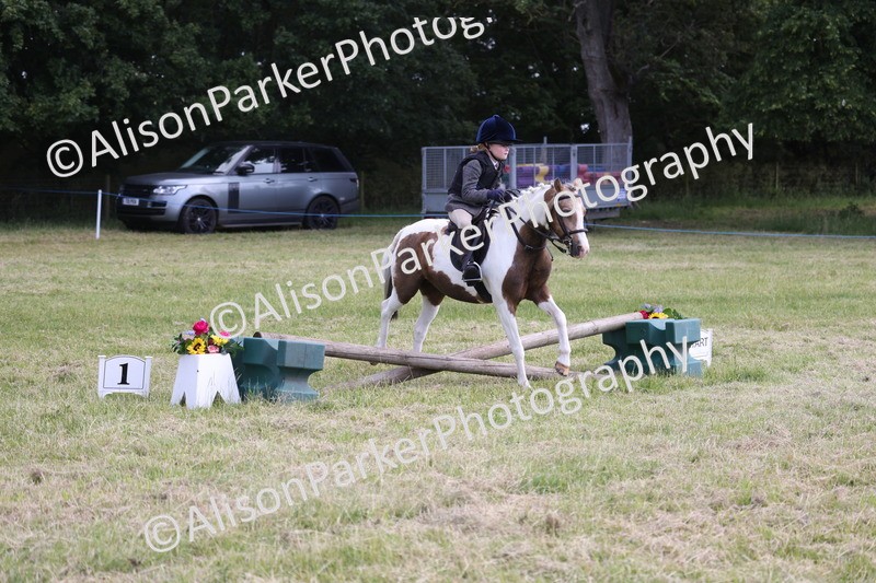 20260614-0677 - Class 20 - Beginners Working Hunter Pony